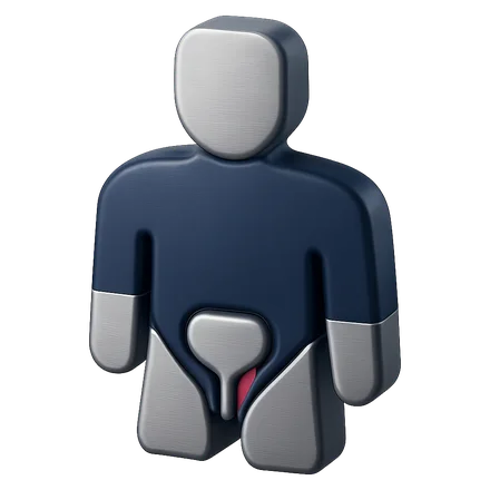 Ilustración de la salud íntima masculina